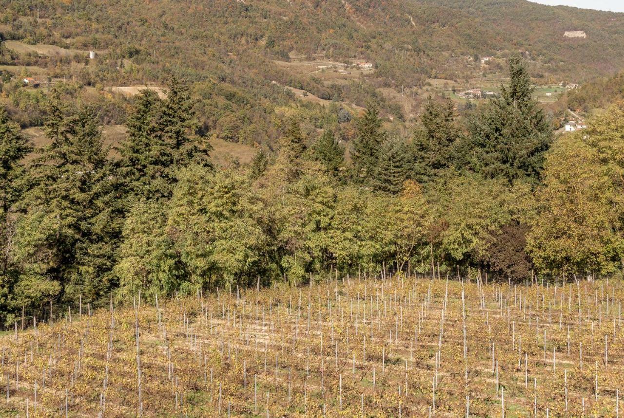 Tenuta Pian D'Attesio - Agriturismo Castelletto Soprano Kültér fotó