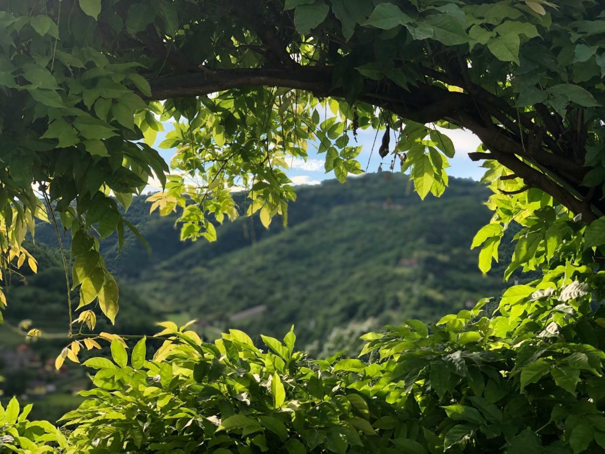 Tenuta Pian D'Attesio - Agriturismo Castelletto Soprano Kültér fotó